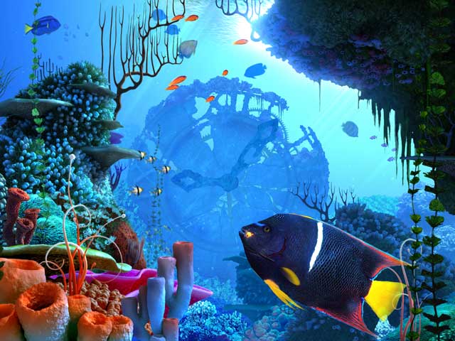 Windows 7 Coral Clock 3D Screensaver 1.1 full