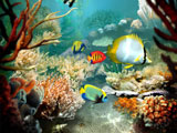 3Planesoft Best 3 ScreenSavers + 1 additional