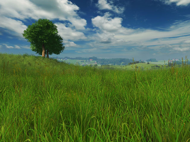 3d, screensaver, grass, nature, grassland