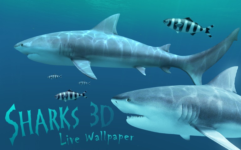 Sharks 3D 2.1.0 Mac 破解版 鲨鱼动态壁纸应用