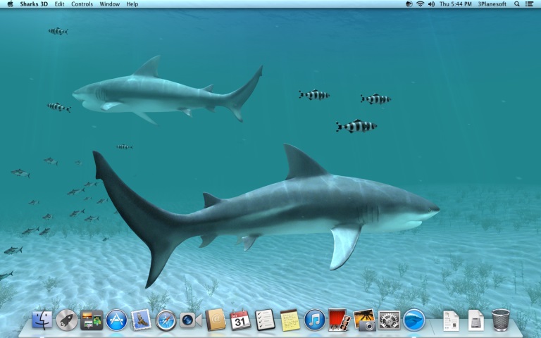 Sharks 3D 2.1.0 Mac 破解版 鲨鱼动态壁纸应用