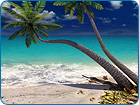 Sandy Beach