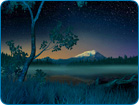 Starry Night