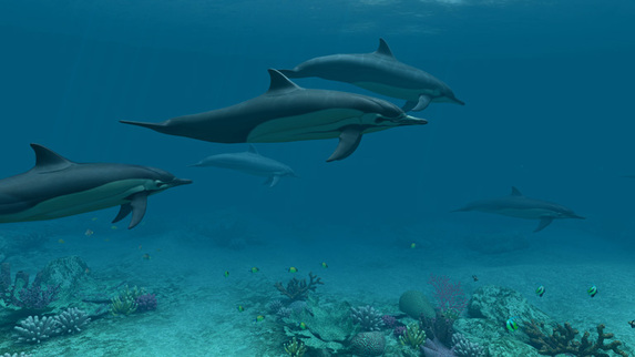 Fish 3D Screensavers - Dolphins - Deep-sea dolphins: 3D ocean screensaver