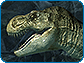 Tyrannosaurus Rex