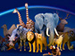 Animal World