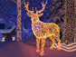 Christmas Walk