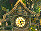 Cuckoo Clock