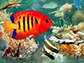 Tropical Fish