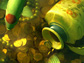 Koi Pond - Treasures