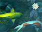 Koi Pond - Waterfall
