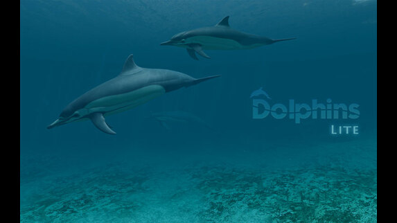 free live 3d marine aquarium with deep sea diver treasure sharks and dolphins free live 3d marine aquarium with deep sea diver treasure sharks and dolphins